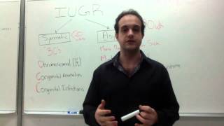 Intrauterine Growth Restriction IUGR Mnemonic [upl. by Rolando]