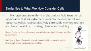 Predecessors to Cells Enter the Proteinoid Microspheres [upl. by Ylen]