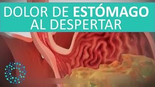 DOLOR de ESTOMAGO al DESPERTAR [upl. by Sybila]