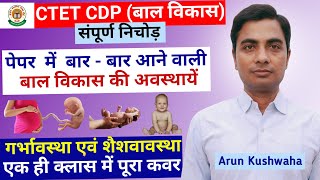 Stages Of Development  Prenatal amp Infancy। Child Development and Pedagogy By Arun Kushwaha [upl. by Breen]