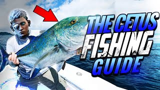 Warframe  How to Fish 🐟 plains of eidolon Fishing Guide [upl. by Dippold]