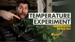 Whats the BEST Temperature for Starting Seeds Indoors [upl. by Storer63]