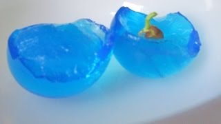 Water Balz Jumbo Polymers Balls Seed Germinating Science Experiment [upl. by Regdor]