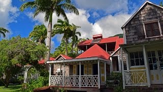 Nevis  Island Tour Royal Princess Excursion [upl. by Rockey]