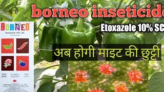 Sumitomo Borneo Etoxazole 10 SC Insecticides Red Spider Miteमाइटसाइड the smart farming [upl. by Nanny]