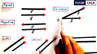 Types of Vectors Class 11 Physics [upl. by Odidnac]