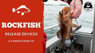 Rockfish Release Devices [upl. by Shalne]