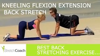 Back Stretches Flexion Extension Back Stretch Video Best Lower Back Stretching Exercises [upl. by Reinwald]