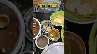 magic Chaat haridwar haridwarfood jainchaat chaatlover chaatpapdi haridwaar Hindustankazaaika [upl. by Pettiford]