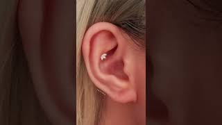 6 Types of Conch Piercings [upl. by Fauman504]