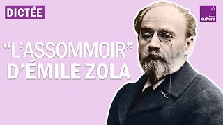 La Dictée géante  quotLAssommoirquot dÉmile Zola [upl. by Elletnahs]