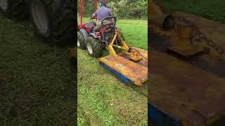 Goldoni Quad tractor making short work of an unkept small orchard Infested with mole hills 🗻 [upl. by Chow]