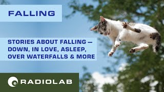 Falling  Radiolab Podcast [upl. by Alisan765]