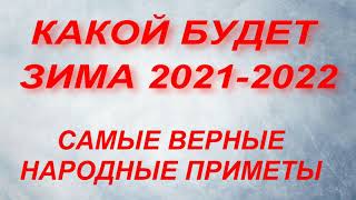 Какой будет зима в 2022 году Самые верные народные приметы и прогноз синоптиков [upl. by Adliwa]