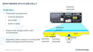 Flow cell introduction [upl. by Mahan498]