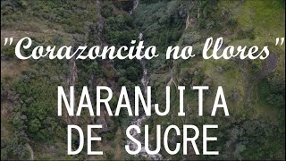 Naranjita de Sucre  Corazoncito no llores LETRA [upl. by Aserej]