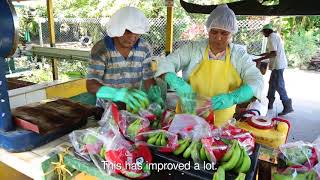 How Fairtrade supports Banana farmers [upl. by Winzler]