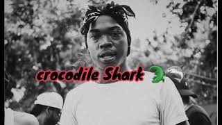 Skillibeng  Crocodile Shark Official Lyrics Video [upl. by Perry]