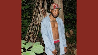 JPEGMAFIA  Reaper slowed  reverb [upl. by Nylidnam]