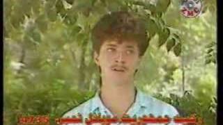 Afghani Song  Delam Dewana Bood [upl. by Guntar113]