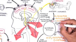 Pharmacology  Antiemetics [upl. by Sams]