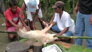 Philippine Pig Roast Preparing the Pig [upl. by Aztiley]