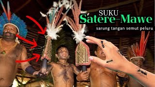 SUKU SATERE MAWE Sarung Tangat Semut Peluru Ritual Mengerikan [upl. by Frymire388]