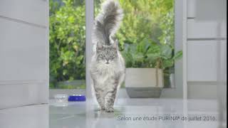 PURINA ONE®  Le Programme 21 Jours PURINA ONE® 10s [upl. by Arikaahs]