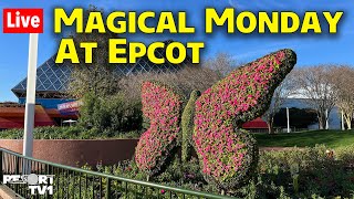 🔴Live Magical Monday at Epcot  Flower amp Garden Festival Scavenger Hunt  Disney World  32524 [upl. by Asseralc329]