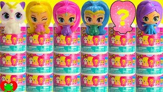 Genie Teaches Shimmer and Shine Fashems Full Case Colors and Counting [upl. by Peppy]