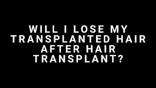 Will I Lose my Transplanted Hair after Hair Transplant [upl. by Ivor]