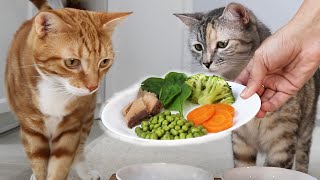 Cats Try Vegetables For The First Time Funny reactions 😹 [upl. by February]