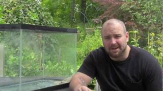 Saltwater Aquarium Setup  The Quarantine Tank 1 [upl. by Yadnil]