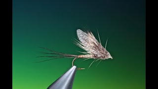 Fly Tying a Muddler Mayfly dry fly with Barry Ord Clarke [upl. by Adrell]