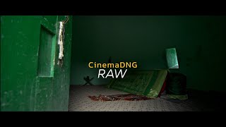 Bmpcc og  CinemaDNG BMD Film to P3 D60 Gamma 24  Raw settings  Cinematic color grading bmpccog [upl. by Ecinrahs]