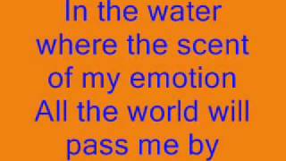 Red Hot Chili Peppers The Zephyr Song wlyrics [upl. by Srini549]