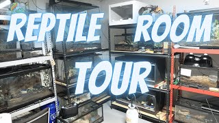 Reptile Room Tour 9122024 [upl. by Reyna]