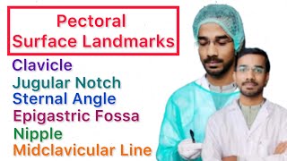 Pectoral Surface Landmark  Clavicle  Jugular Notch  Sternal Angle  Epigastric Fossa  Nipple [upl. by Atel]