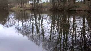 Llantarnam Ponds in Cwmbran [upl. by Amorita425]