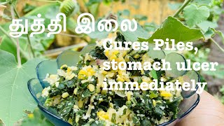 துத்தி இலை பொரியல்  Thuthi leaves recipe  Natural cure for piles and stomach ulcer [upl. by Casilda211]