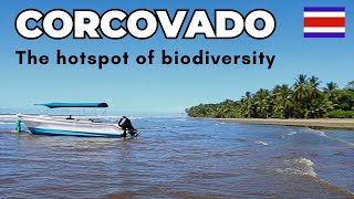 Corcovado National Park A Must Visit In Costa Rica [upl. by Nedda]