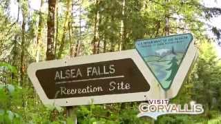 Seven Wonders of Corvallis Alsea Falls [upl. by Archaimbaud215]