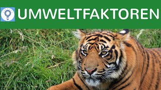 Biotische amp abiotische UmweltFaktoren  Was sind Umweltfaktoren amp Umweltfaktoren im Überblick [upl. by Komarek]