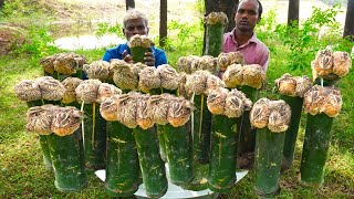 BAMBOO BIRYANI  Full Quail Biryani Cooking in Bamboo  Steamed Bamboo Biryani Recipe Cooking [upl. by Yelserp]