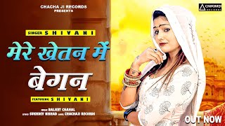 मेरे खेतन में बेगन  SHIVANI KE GANE  DEHATI LOKGEET SONG  SHIVANI DANCE VIDEO  HARYANVI DJ SONG [upl. by Barhos826]