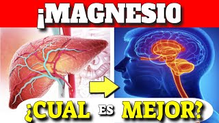 LOS MEJORES TIPOS de MAGNESIO que EXISTEN Suplementos de Magnesio [upl. by Shugart935]