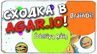 СХОДКА В AGARIO С БРЕЙНОМ И ДАШЕЙ [upl. by Leizahaj]