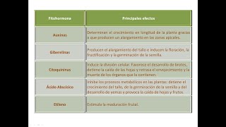 Tema 8 Las funciones de Relación y Reproducción en las Plantas Vídeo 1 La Relación [upl. by Egdamlat]