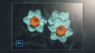 Photoshop cc Tutorial Vintage Photo Effect Flower [upl. by Slifka]