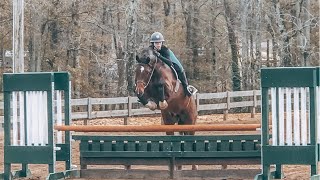 hunter and equitation riding lesson  vlogmas day 10  Eleese S [upl. by Acisse]